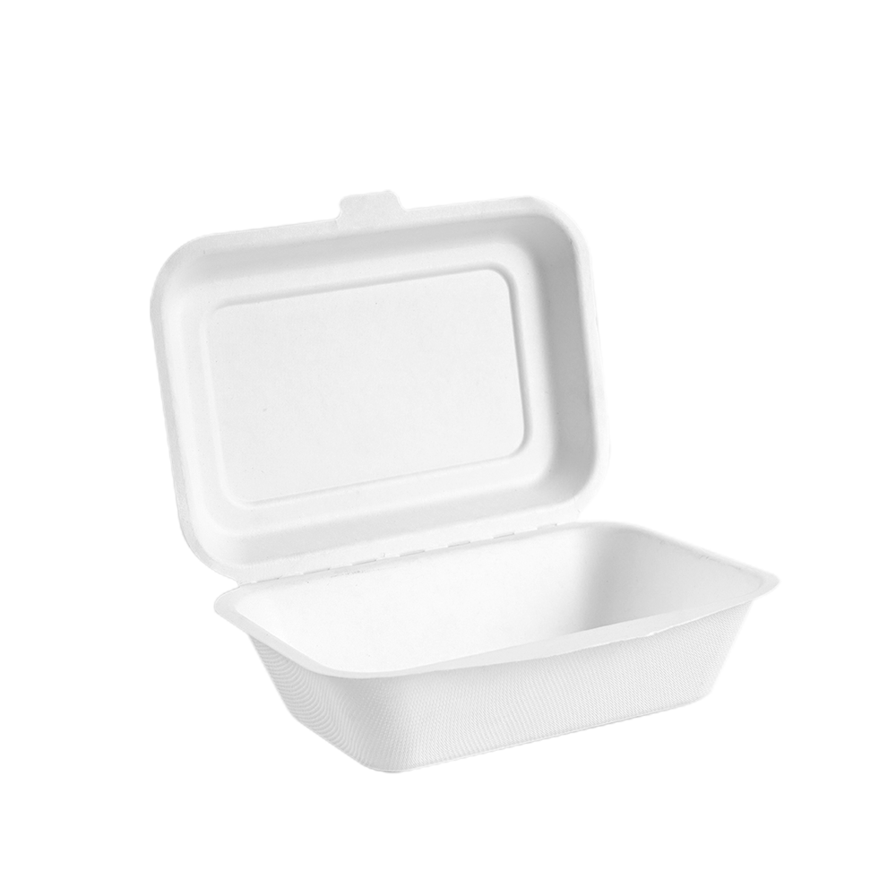 600ml Bagasse Lunch Box