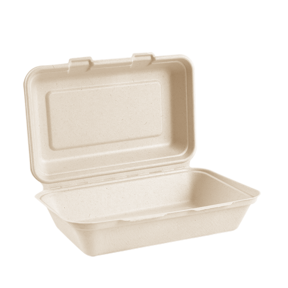 1000ml Bagasse Lunch Box