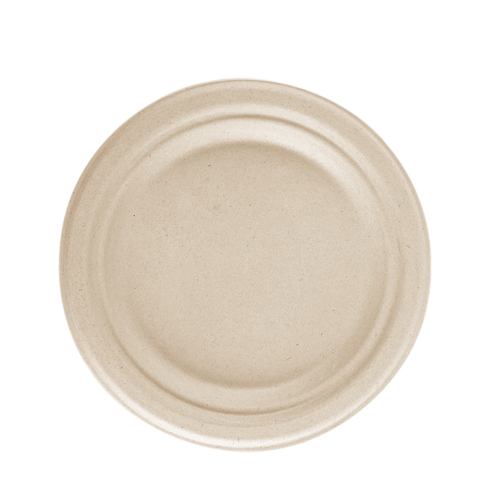 10" Bagasse Round Plate
