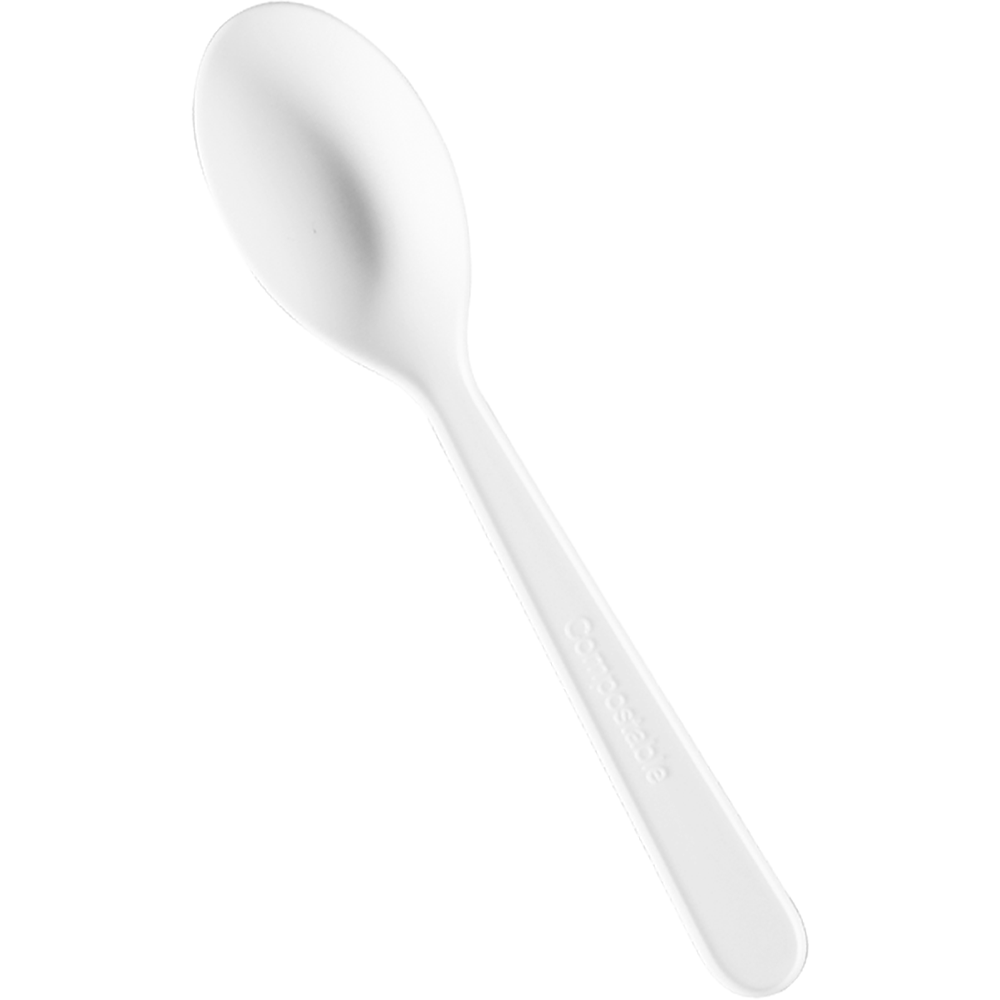 5" CPLA Dessert Spoon